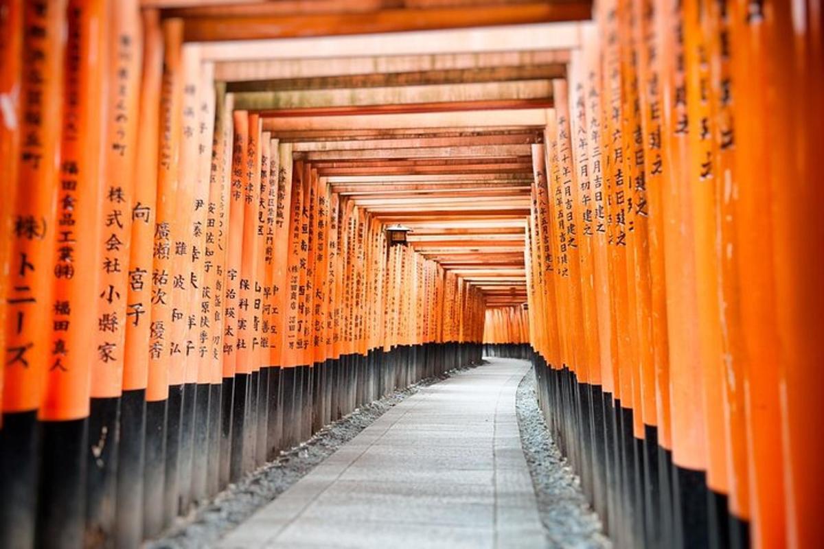 a row of orange torii gates in a building