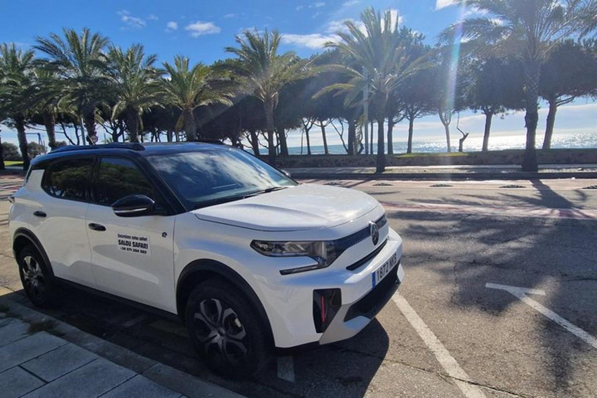 a white truck parked in a parking lot with palm trees