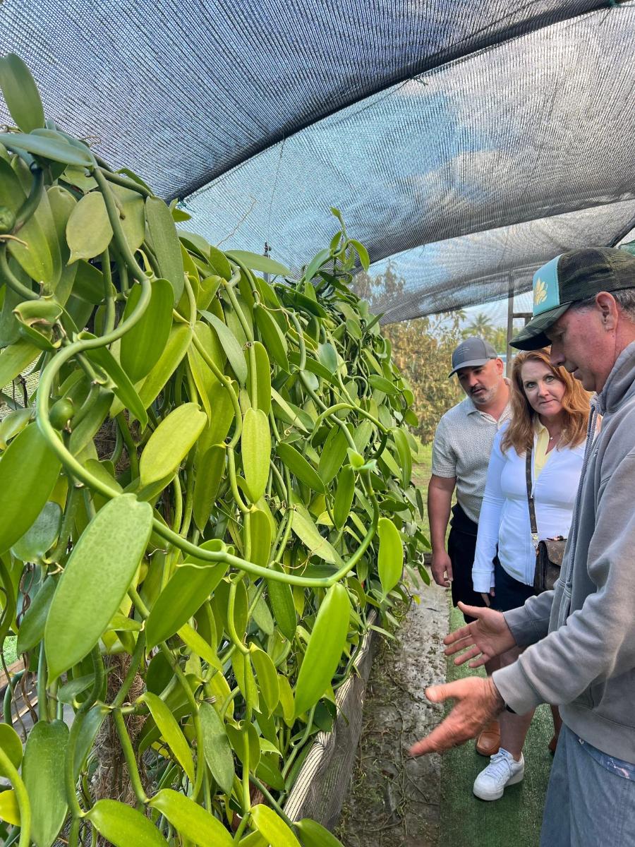a group of people looking at plants in a greenhouse