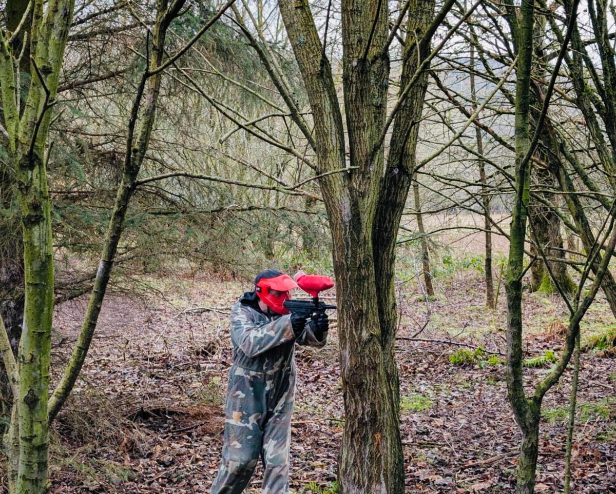 a person taking a picture of a tree