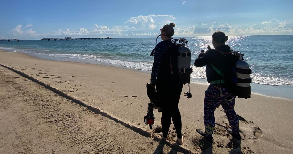 two people standing on the beach looking at the ocean