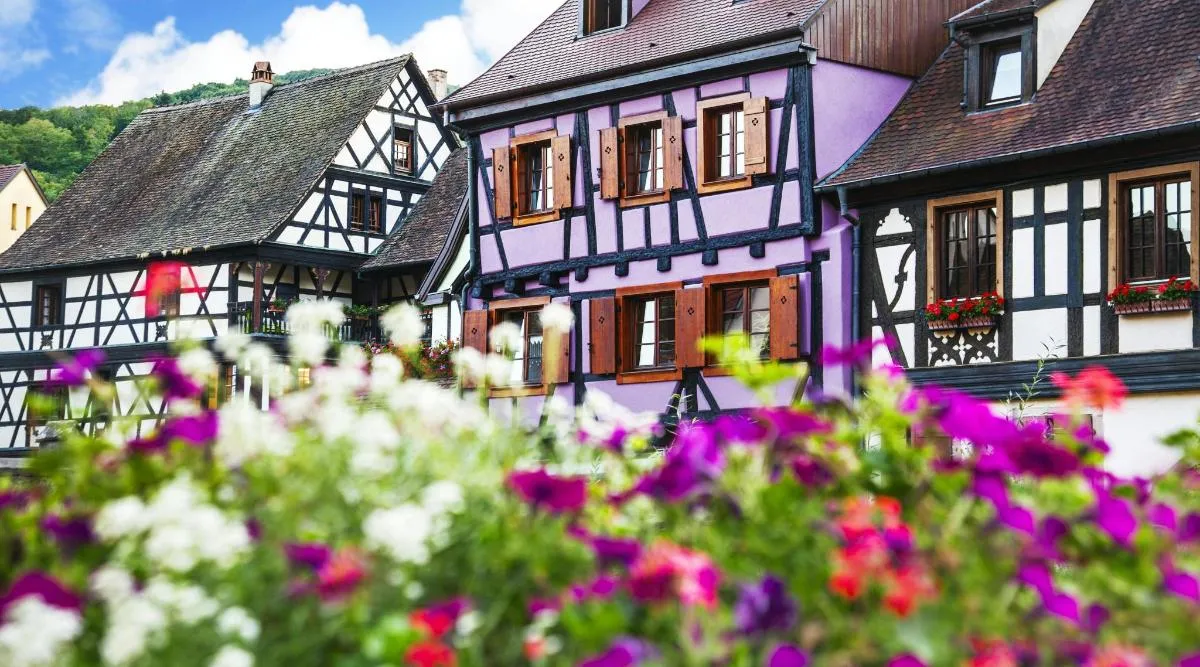 Visite d'une demi-journée des villages d'Alsace depuis Colmar – photo 1
