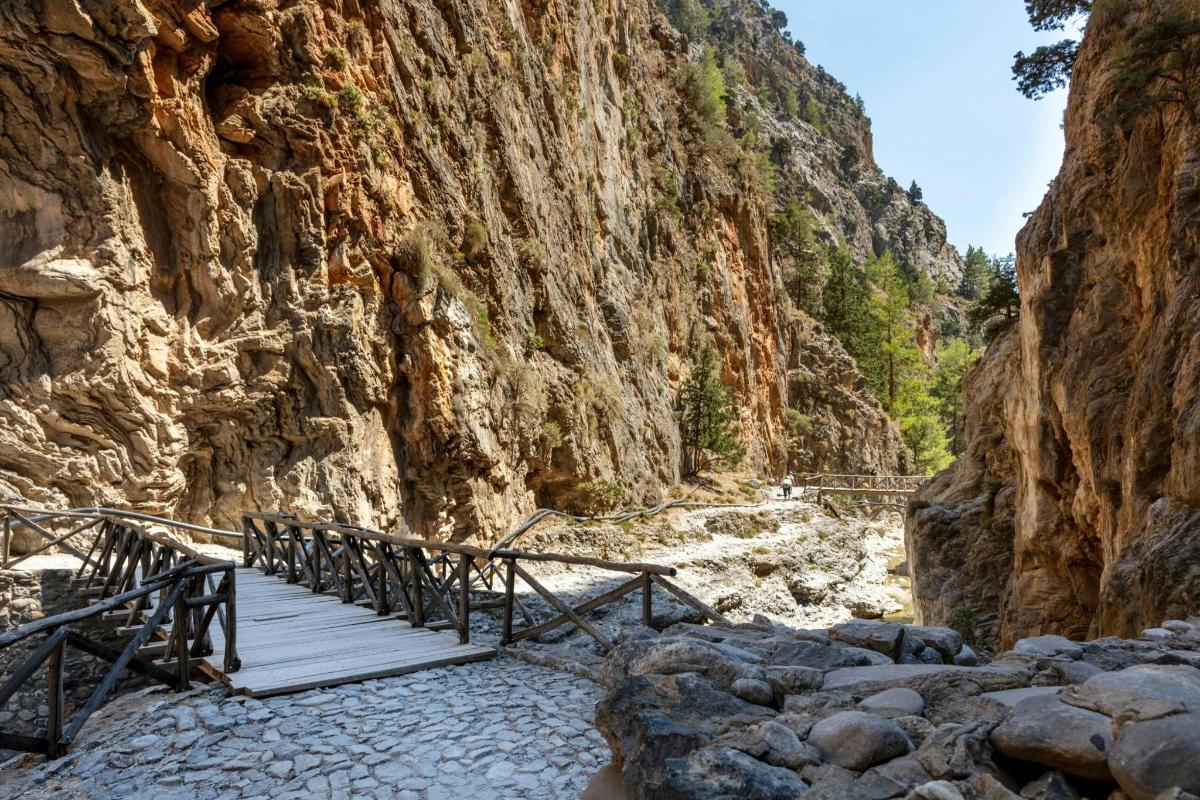 a wooden bridge over a river in a canyon