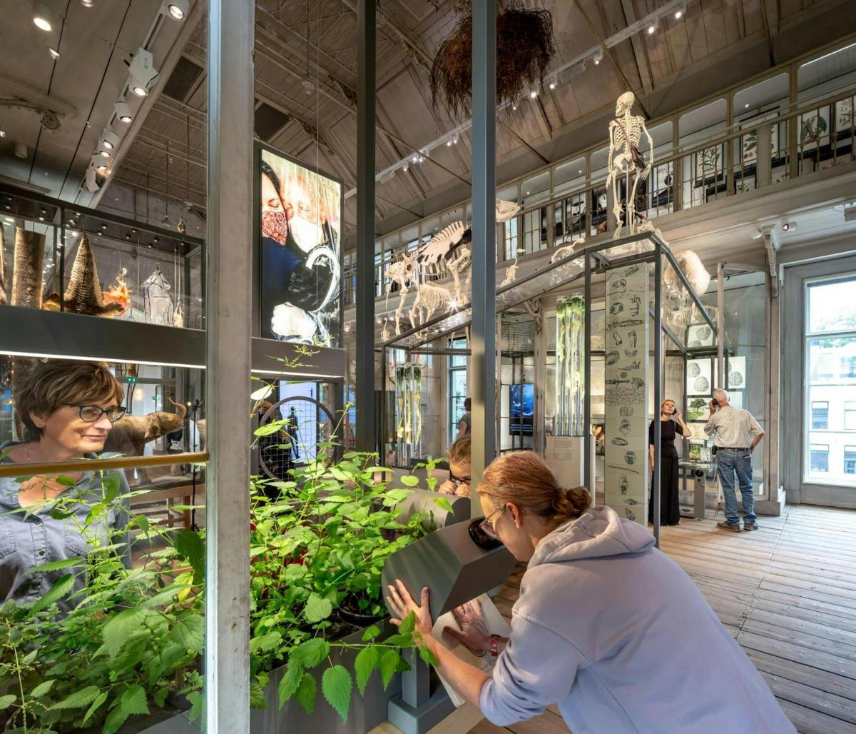 a woman standing in a greenhouse looking at plants
