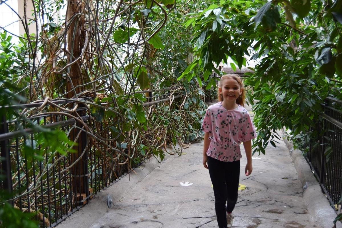 a little girl walking down a path through a forest