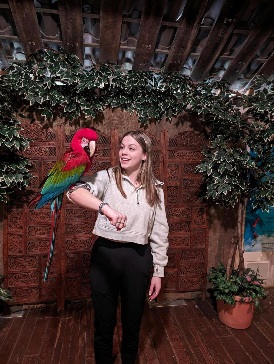 a woman with a parrot on her arm
