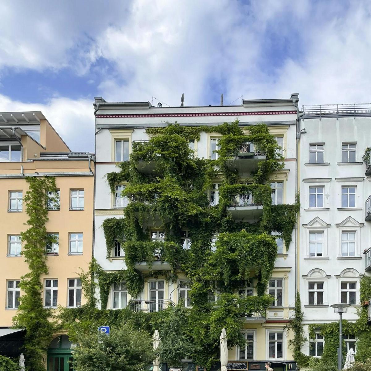a tall white building with a tree