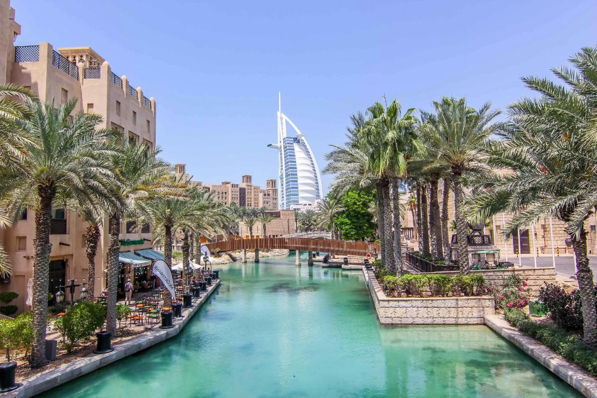 a river in the middle of a city with palm trees