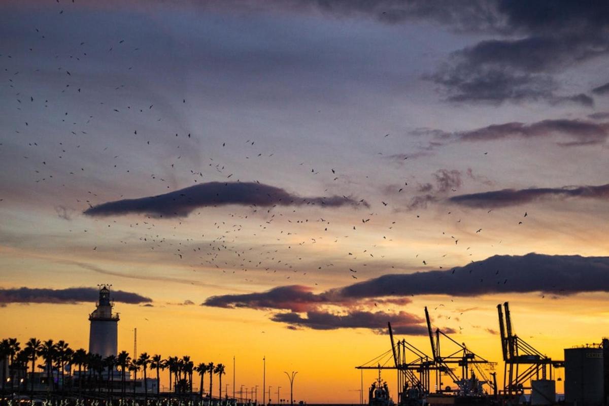 a flock of birds flying in the sky over a lighthouse