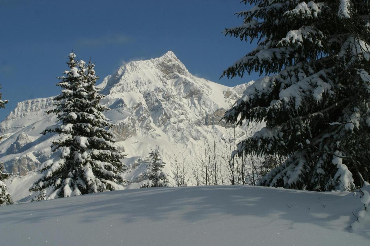 a snow covered mountain with trees in the foreground
