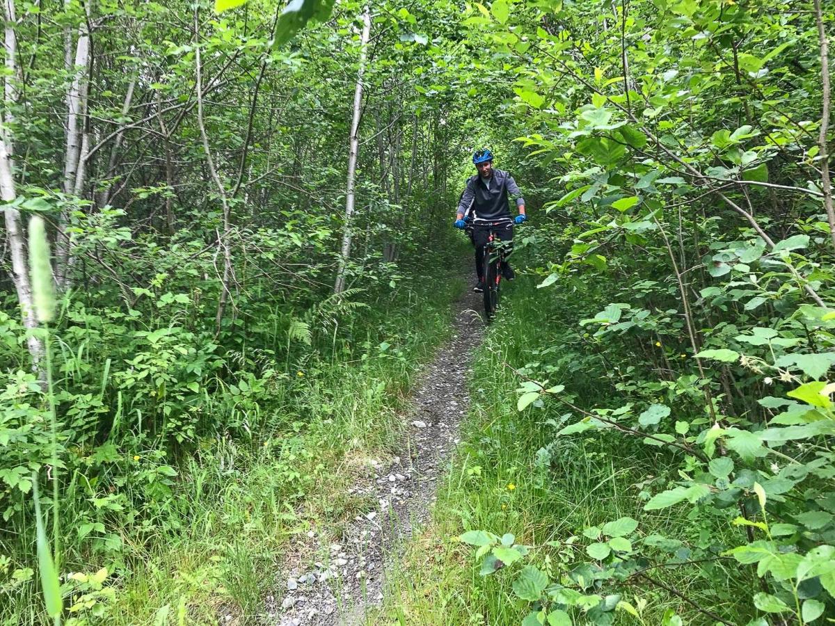a person riding a bike on a trail in the woods