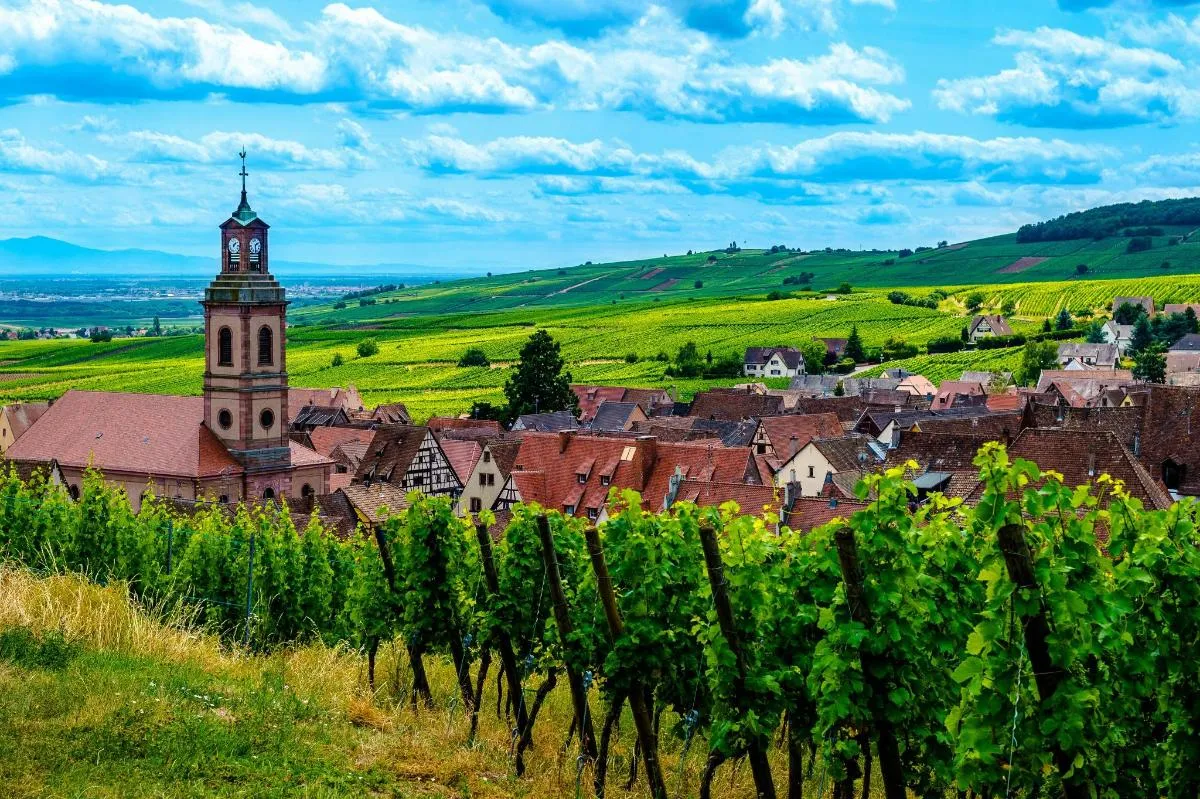 Colmar: Ganztägige Weinstraßen-Tour mit 3 Verkostungen, 1 Tag – Foto 2