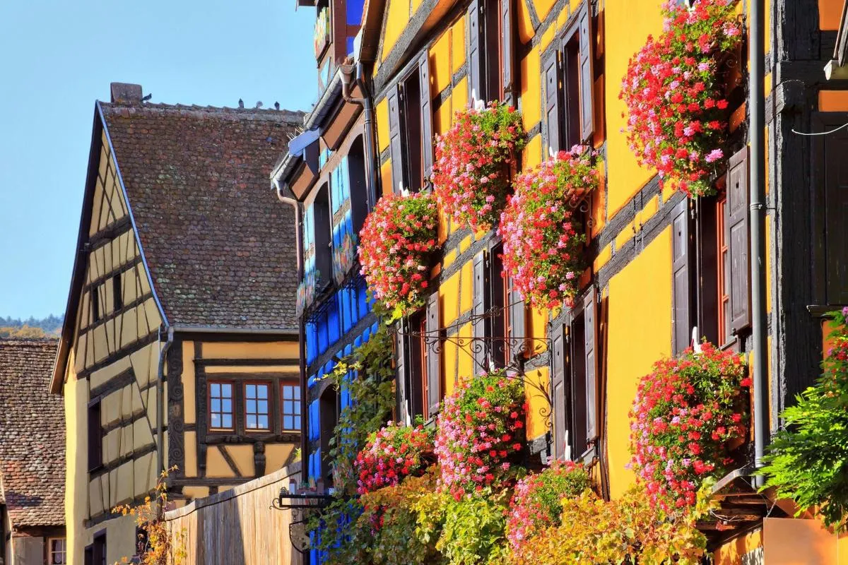 Visite de l'Alsace et dégustation de vins – photo 3