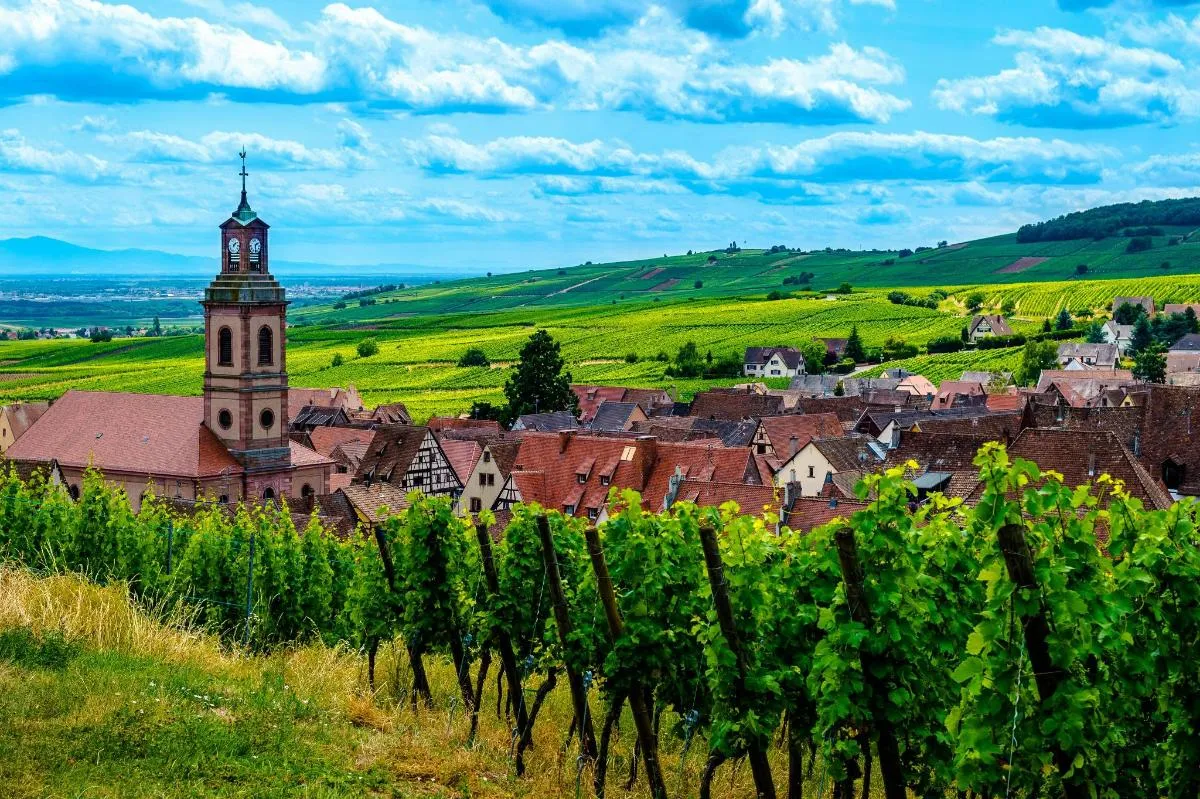 Colmar: Explore charming Alsatian villages on a 4 h tour – photo 3