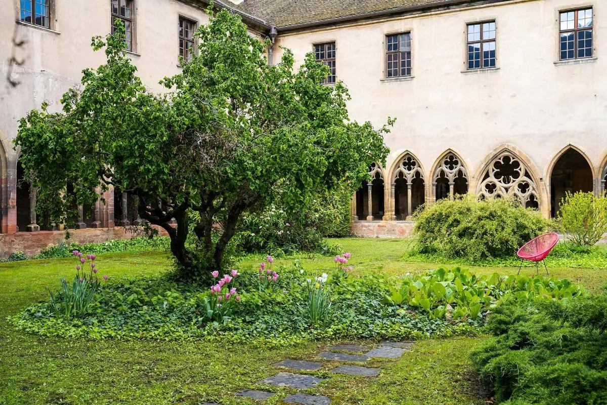 Unterlinden Museum Admission – photo 4
