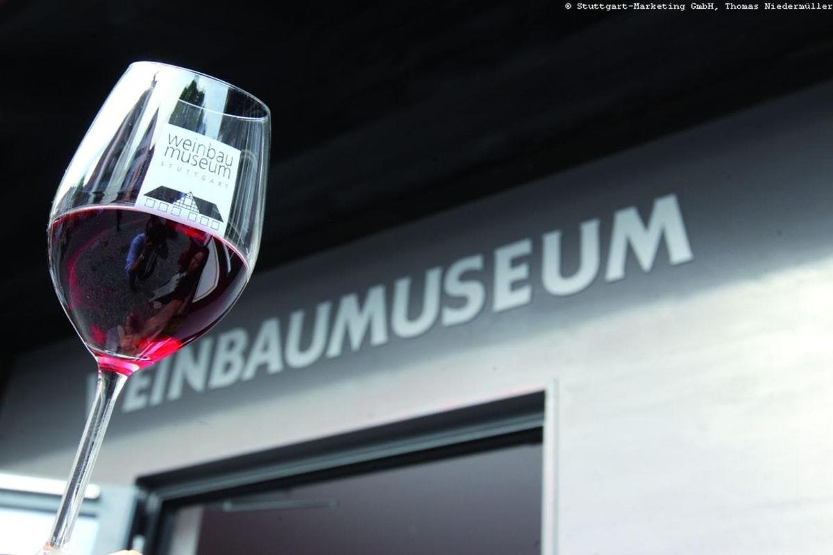 a person holding a glass of red wine