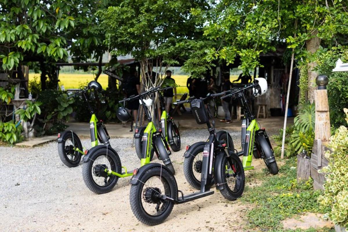 a row of green bikes parked next to trees