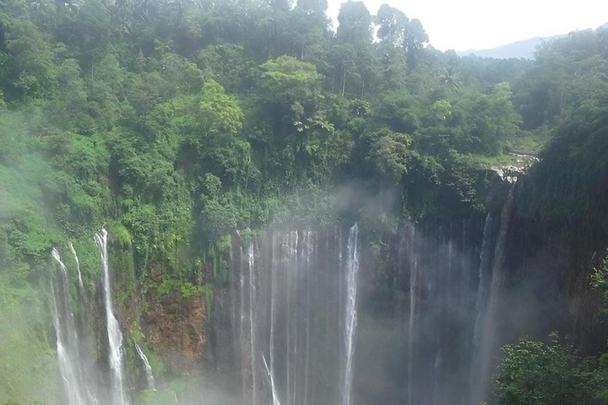 a waterfall in the middle of a mountain with trees