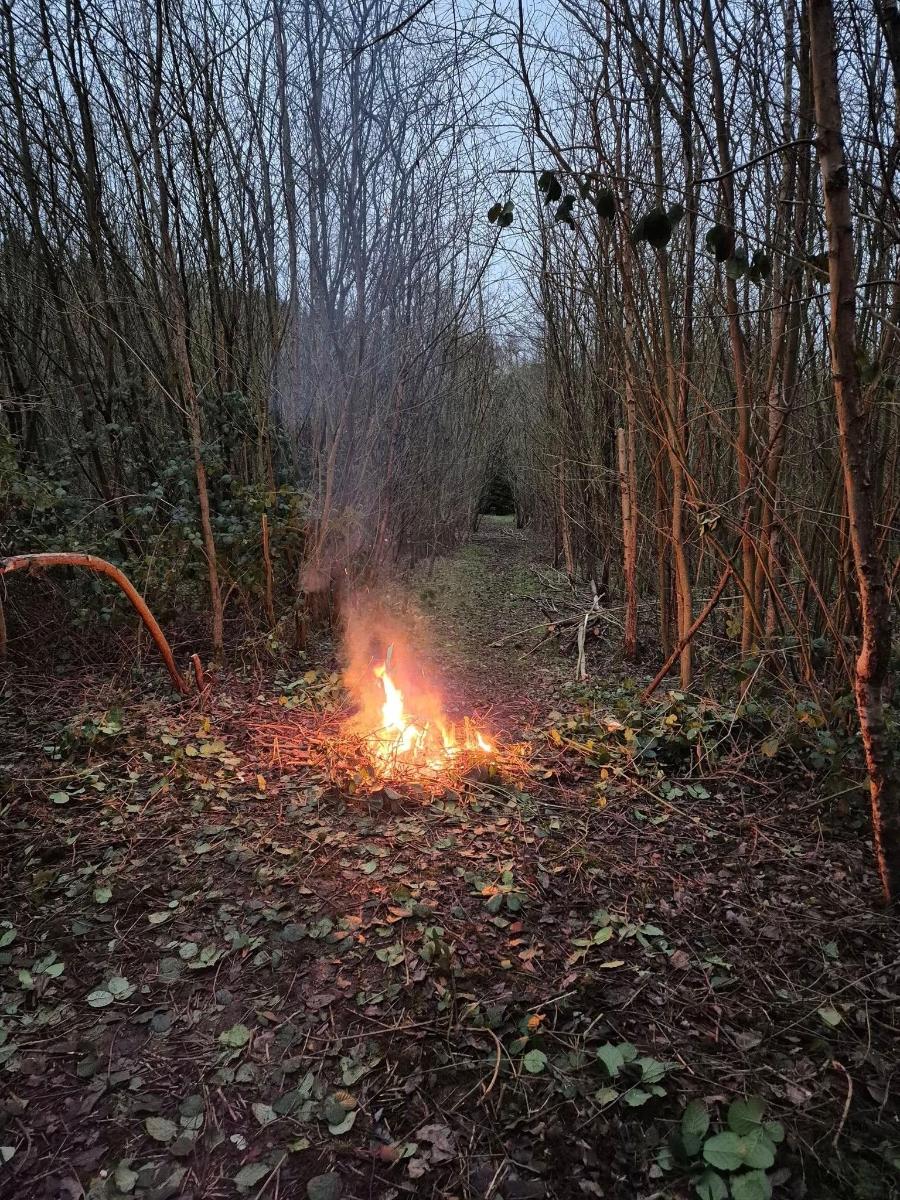 a fire is burning in the middle of a field
