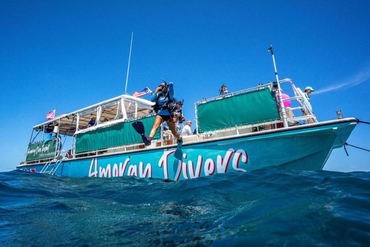 a person jumping off of a blue boat in the ocean