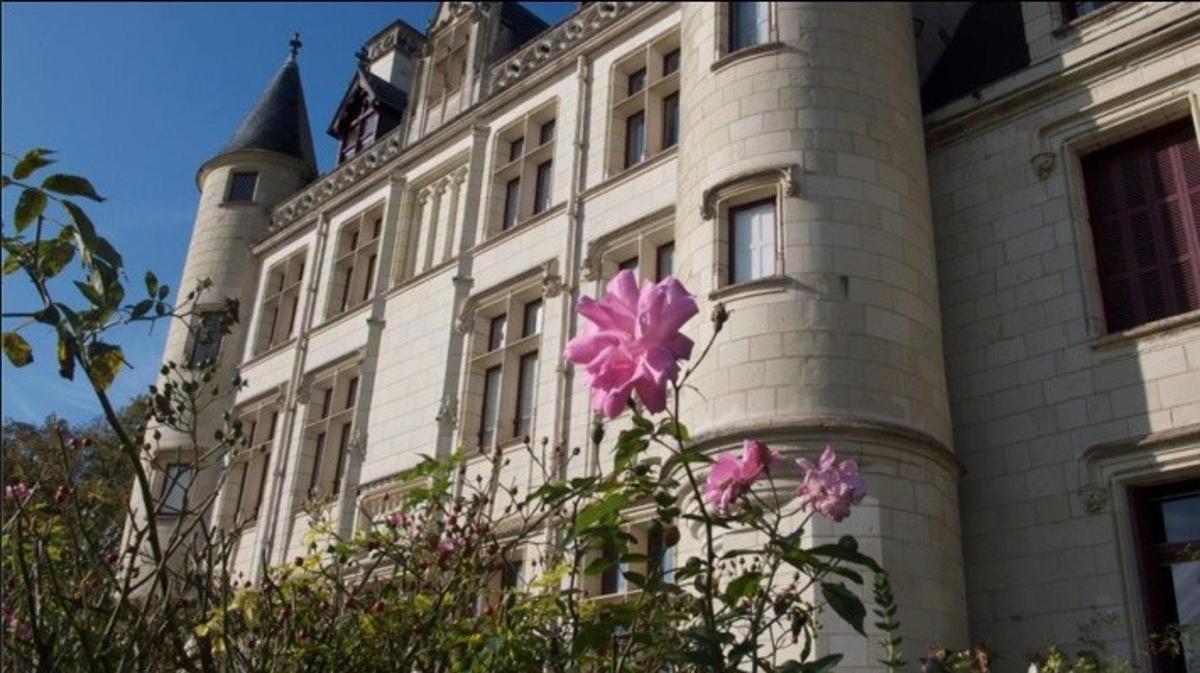 a castle with pink flowers in front of it