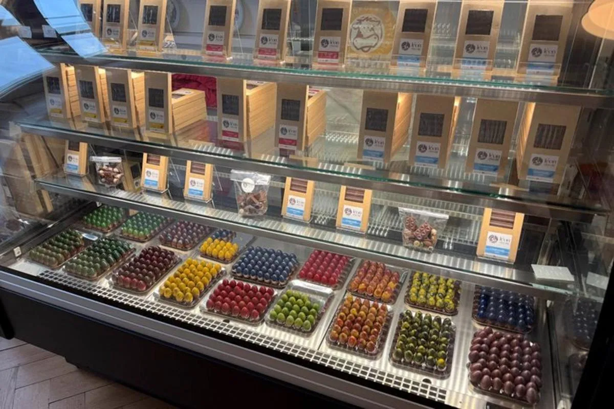 Vieille ville de Bâle, fromage et chocolat | From Basel – photo 9