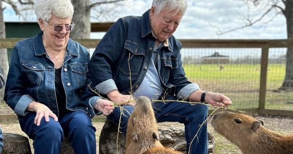un home i una dona alimentant animals en un zoo