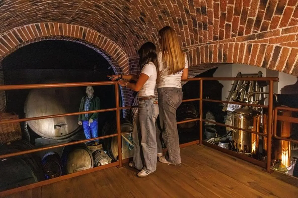 Colmar : musée du vin d'Alsace, train immersif et dégustation, 1 h 30 – photo 6