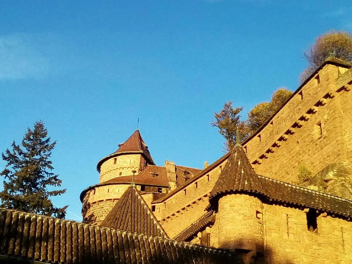 Visite du château du Haut-Kœnigsbourg, 1 h d'exploration – photo 5