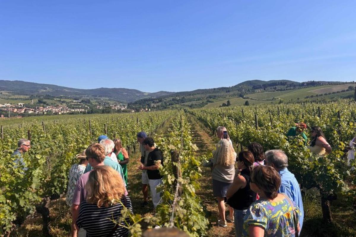 a group of people standing in a vineyard