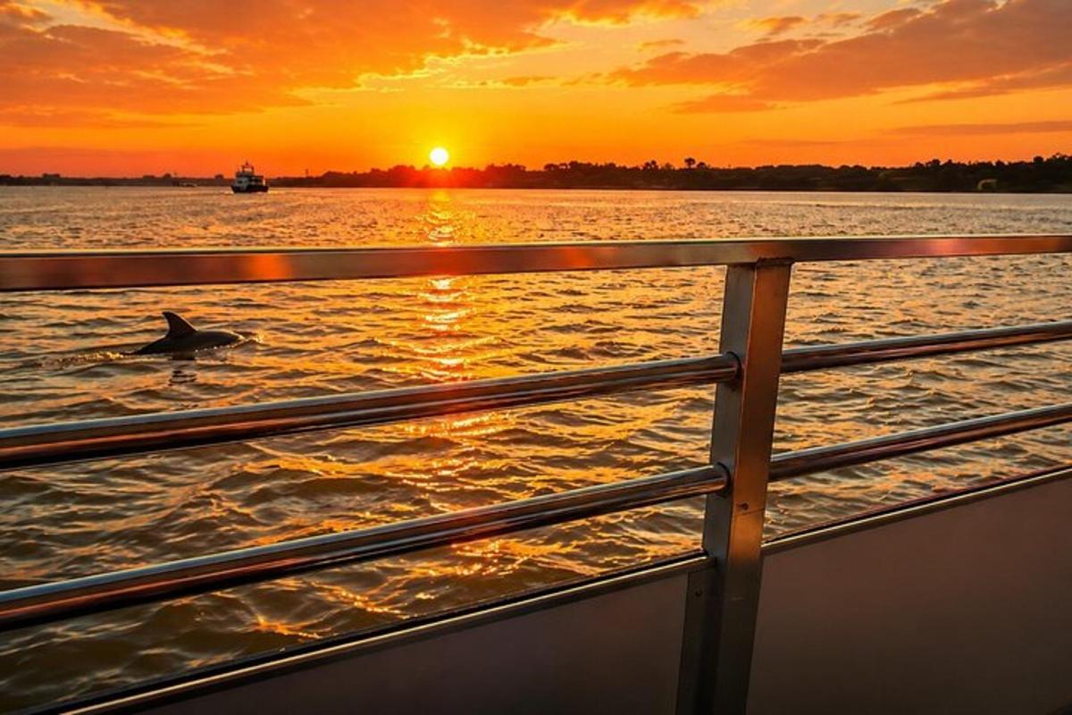 a dolphin swimming in the water at sunset on a boat