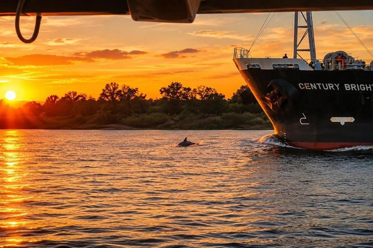 a boat in the water at sunset with a dolphin