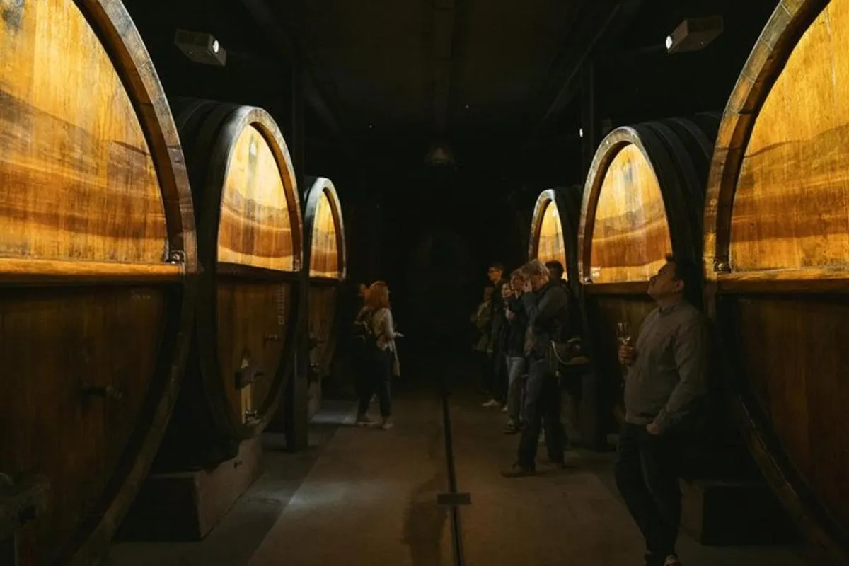 Visite de cave immersive avec dégustation et kougelhopf, 1 h 30 – photo 20