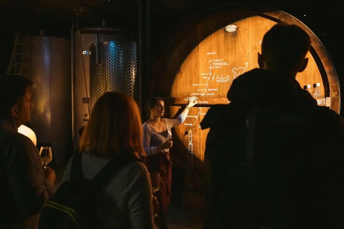Visite de cave Immersive, dégustation et repas planchette – photo 19
