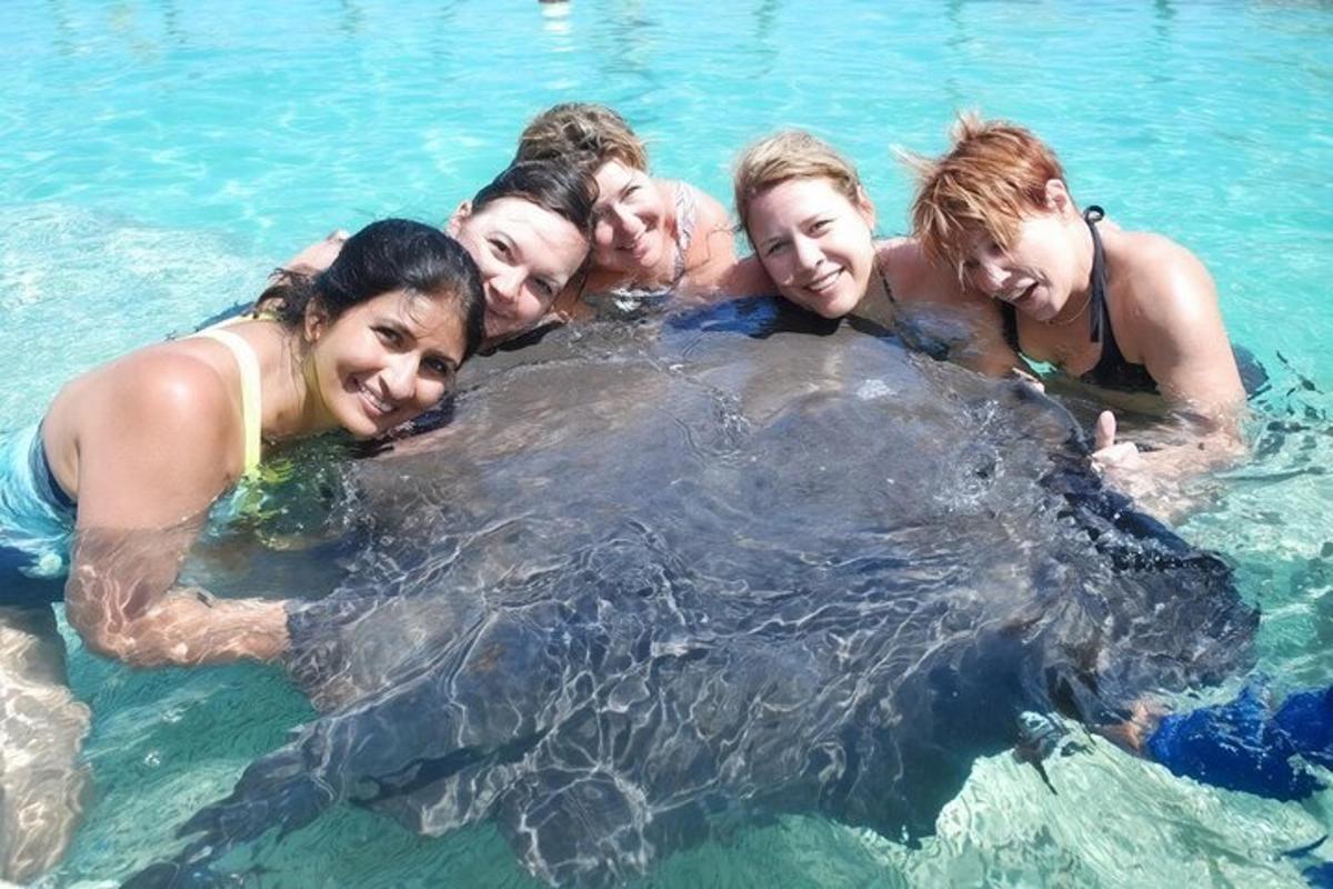a group of people hugging a largeigator in the water