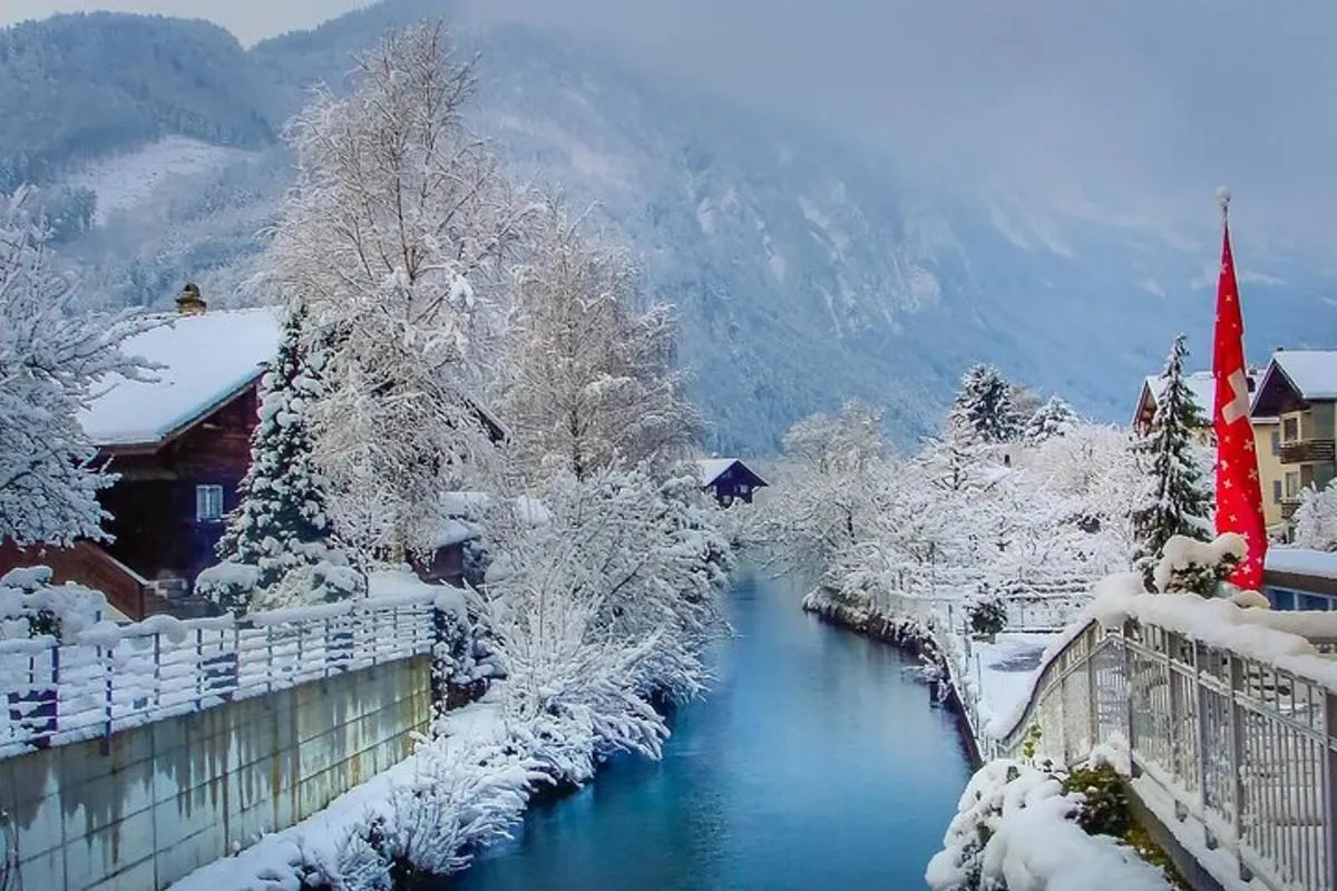 De Bâle : Train panoramique Premium, Lucerne & Interlaken Tour – photo 2