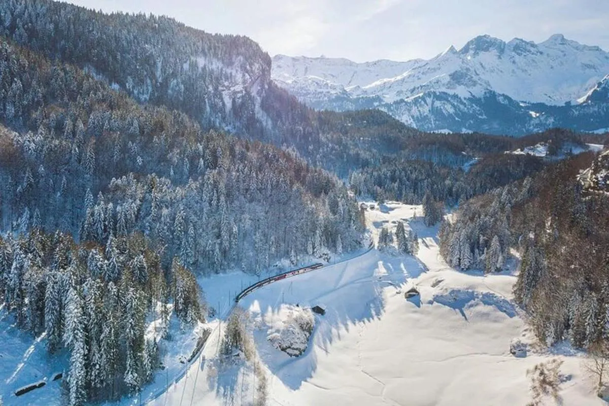 De Bâle : Train panoramique Premium, Lucerne & Interlaken Tour – photo 3