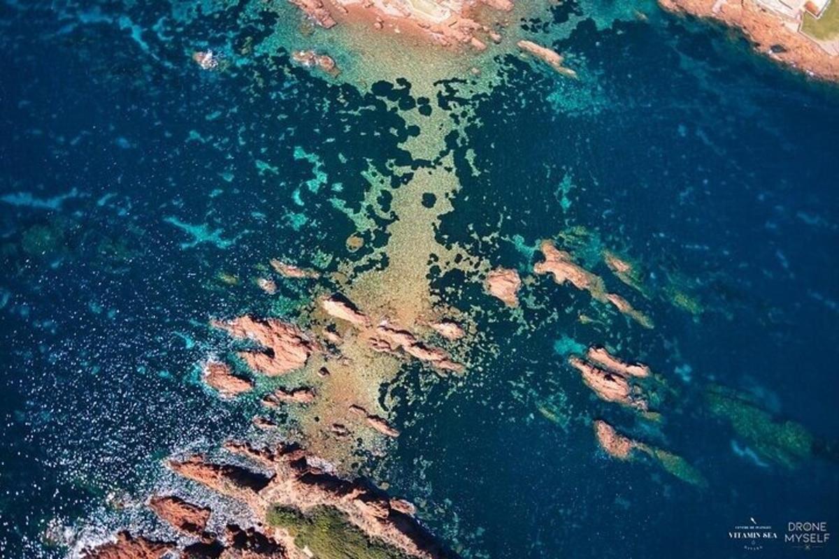 an aerial view of the ocean with footprints in the water