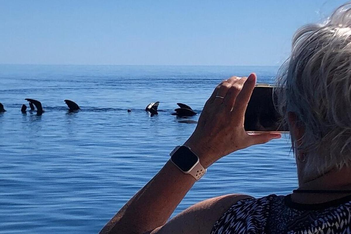 a woman taking a picture of dolphins in the water