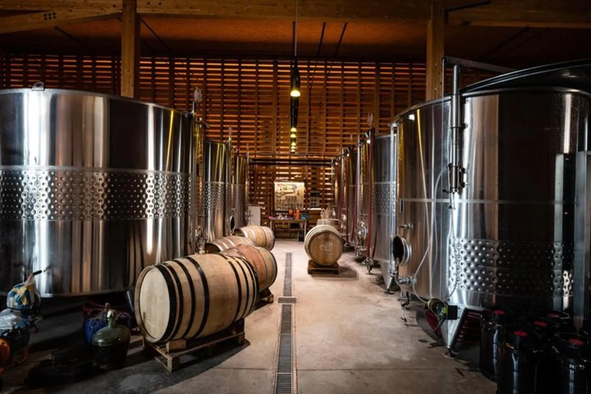 Alsace: Wine tasting/Single Straw Wine Tour – photo 12