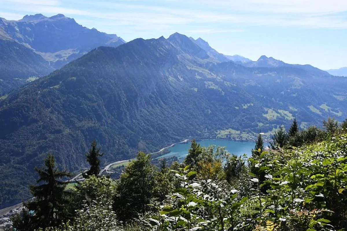 Visite privée. Belle Suisse. Alpes, Lacs, Villages – photo 24