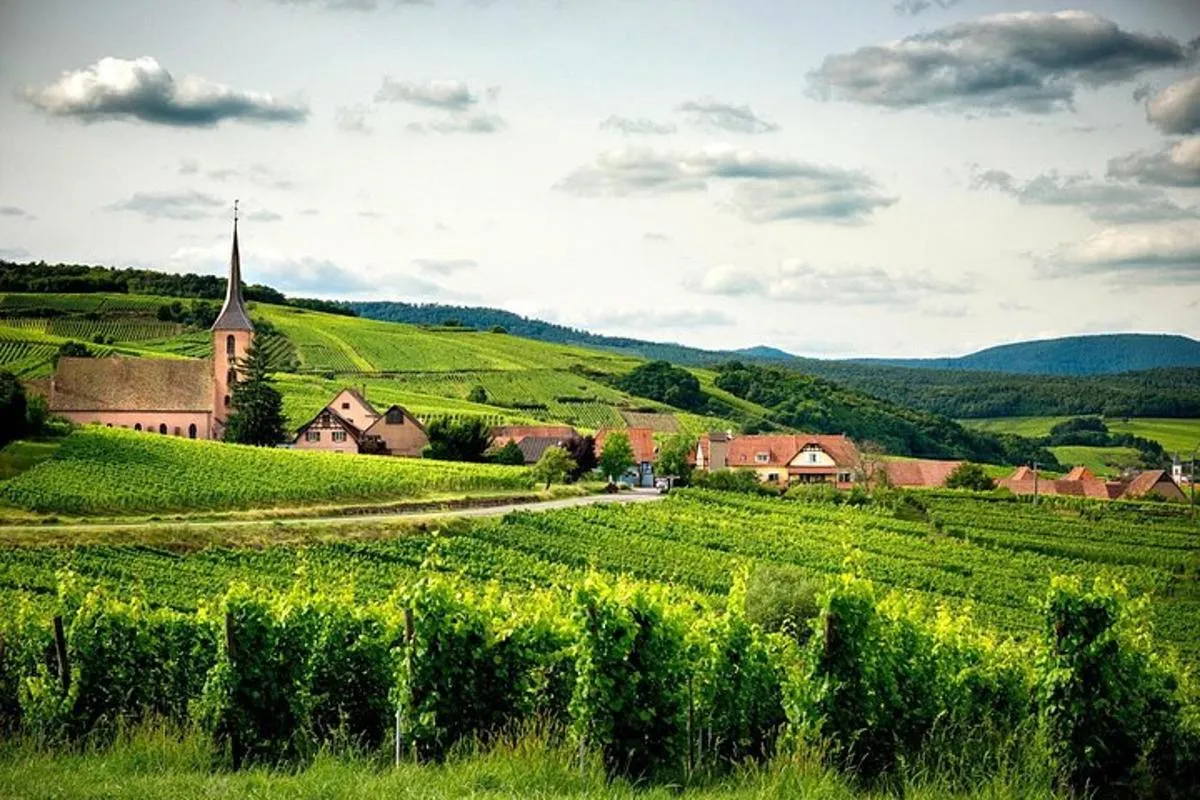 Unusual Car Rally on the Alsace Wine Route – photo 8