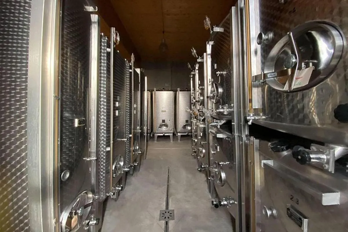 Visite de cave & dégustation de Vins d’Alsace bio au féminin – photo 7