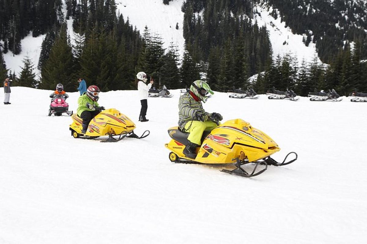 a group of people riding on a snowmobile in the snow