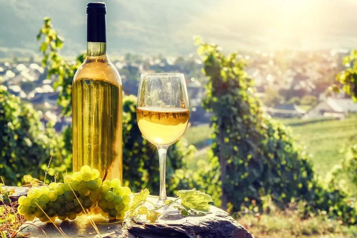 Excursion en petit groupe : joyaux d'Alsace et Route des Vins, 8 h – photo 10