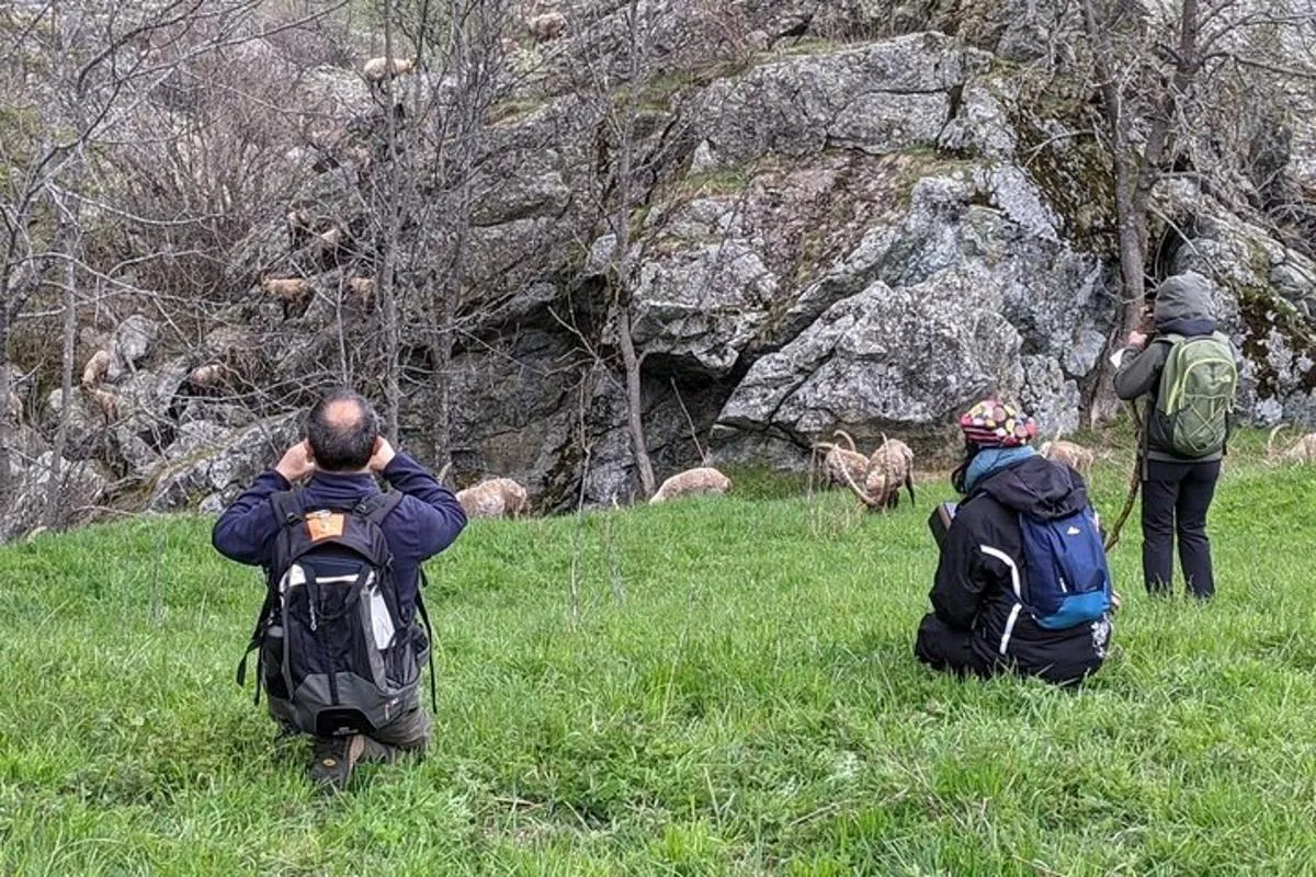 Excursion privée d'une journée dans les vallées de Lanzo – photo 5