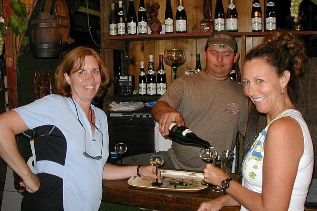 Visite privée à vélo des vignobles d'Alsace et des villages viticoles – photo 17