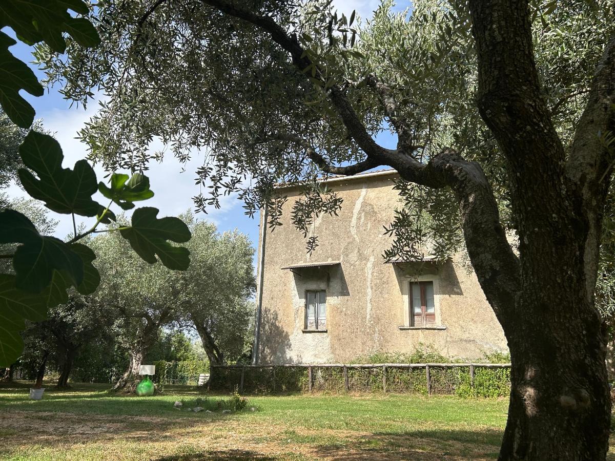 Giardino di Palazzo Conforti Tree House Resort