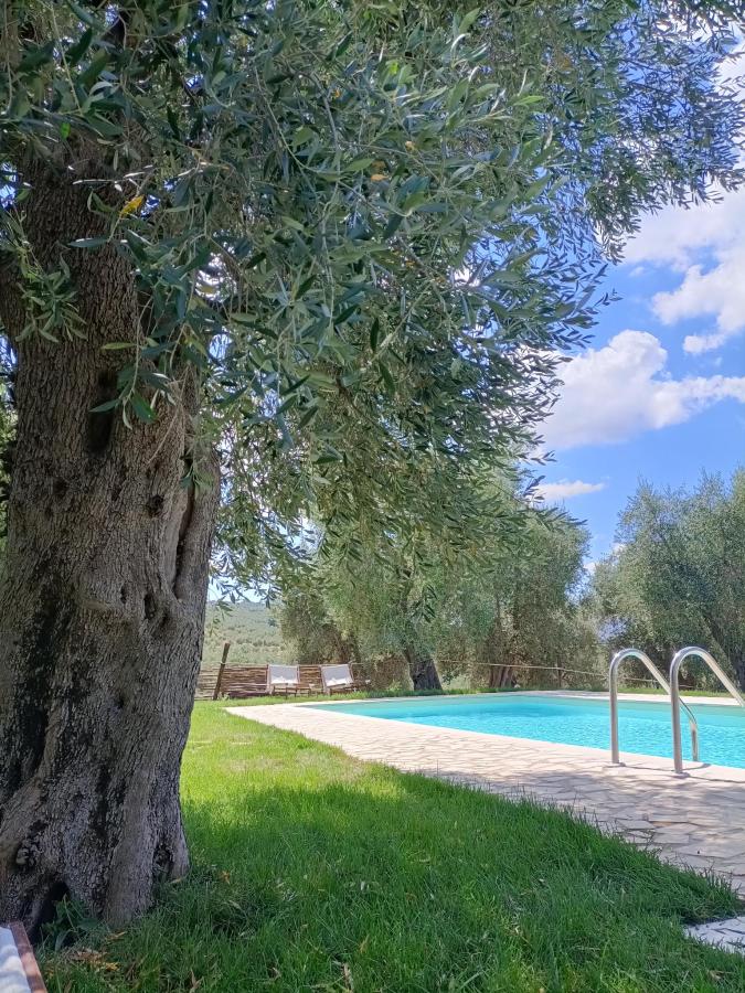 Piscina di Masseria Procacci o nelle vicinanze