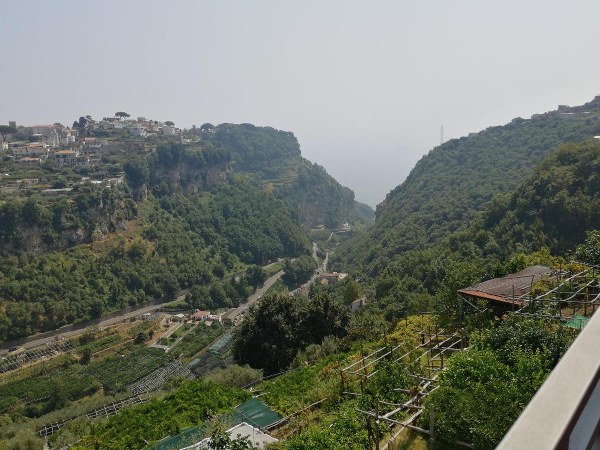Paesaggio naturale nelle vicinanze dell'hotel
